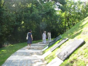 1 img_2116